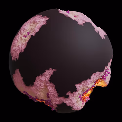 Asm Gen Ii Brains