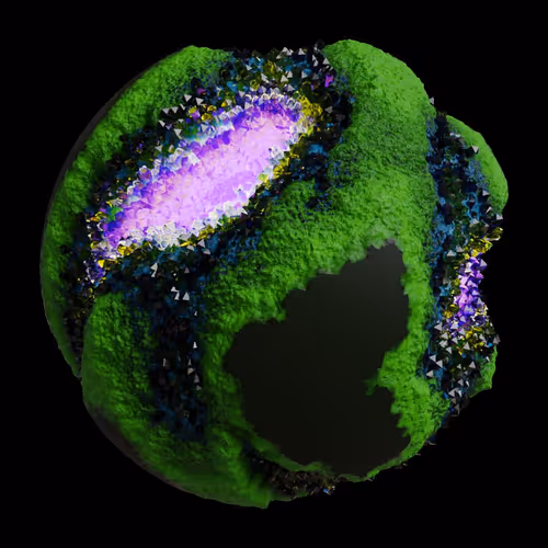 Asm Gen Ii Brains