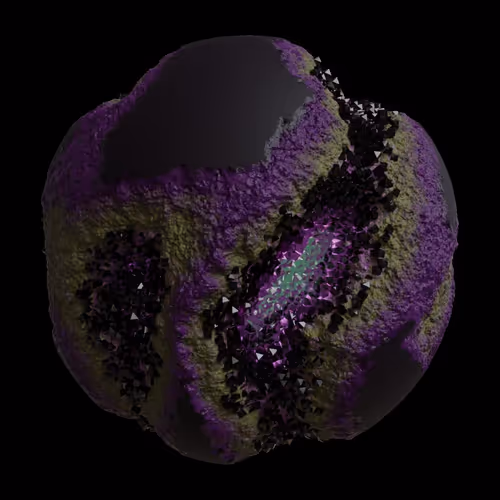 Asm Gen Ii Brains