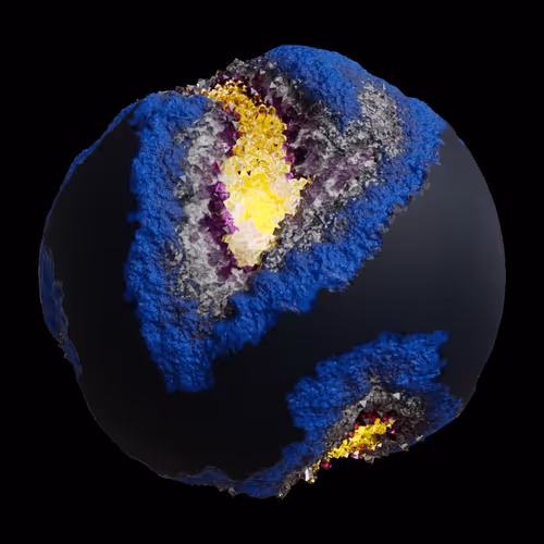 Asm Gen Ii Brains