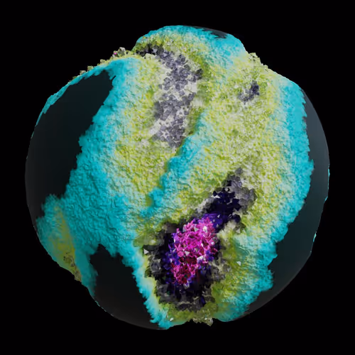 Asm Gen Ii Brains
