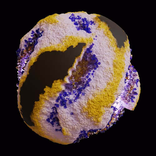 Asm Gen Ii Brains