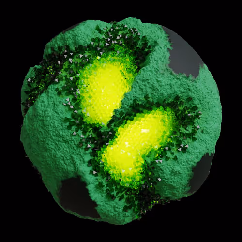 Asm Gen Ii Brains