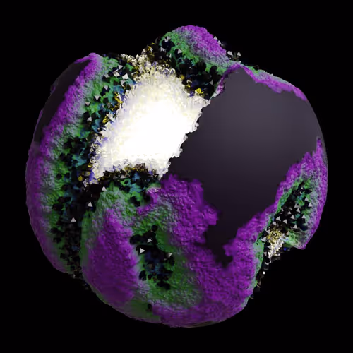 Asm Gen Ii Brains