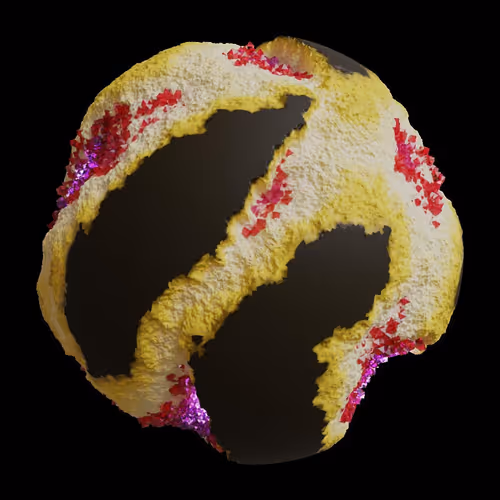 Asm Gen Ii Brains