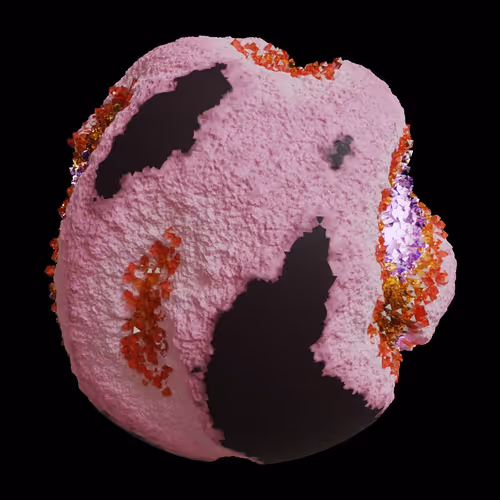 Asm Gen Ii Brains