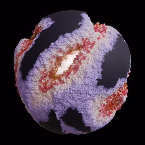 Asm Gen Ii Brains