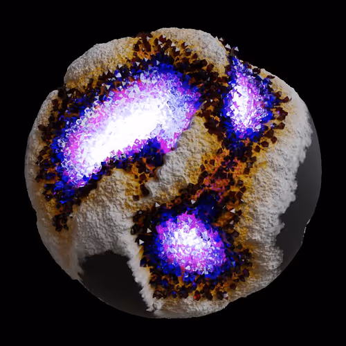 Asm Gen Ii Brains