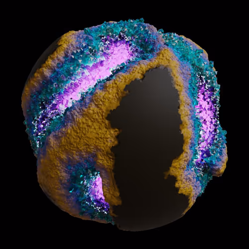 Asm Gen Ii Brains