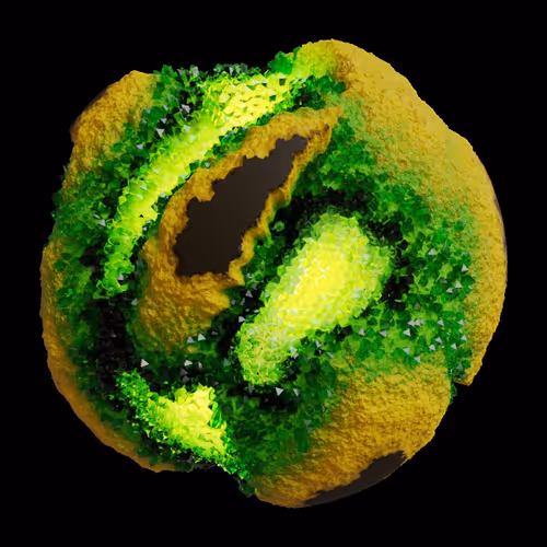 Asm Gen Ii Brains