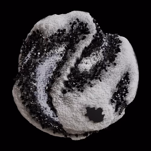 Asm Gen Ii Brains