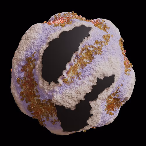 Asm Gen Ii Brains