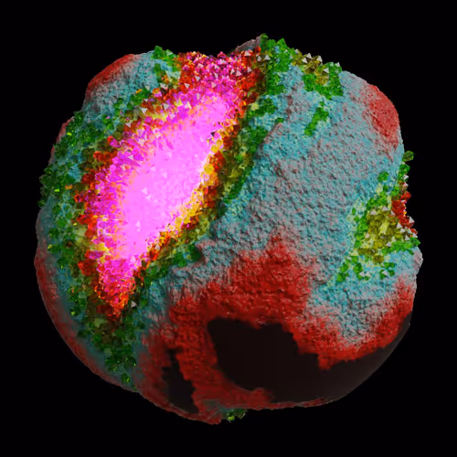 Asm Gen Ii Brains