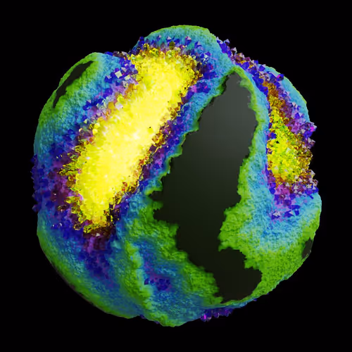 Asm Gen Ii Brains