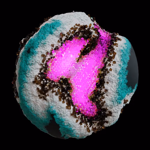 Asm Gen Ii Brains