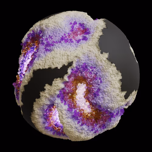 Asm Gen Ii Brains