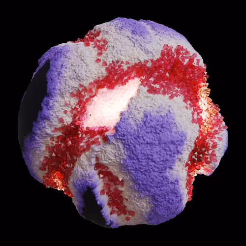 Asm Gen Ii Brains