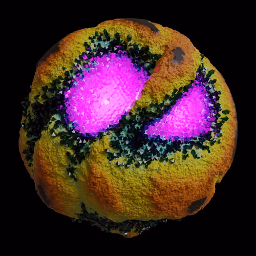 Asm Gen Ii Brains