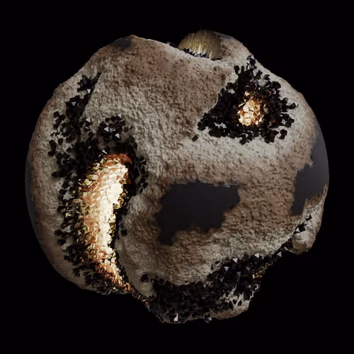 Asm Gen Ii Brains