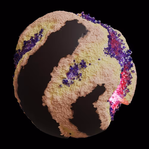 Asm Gen Ii Brains