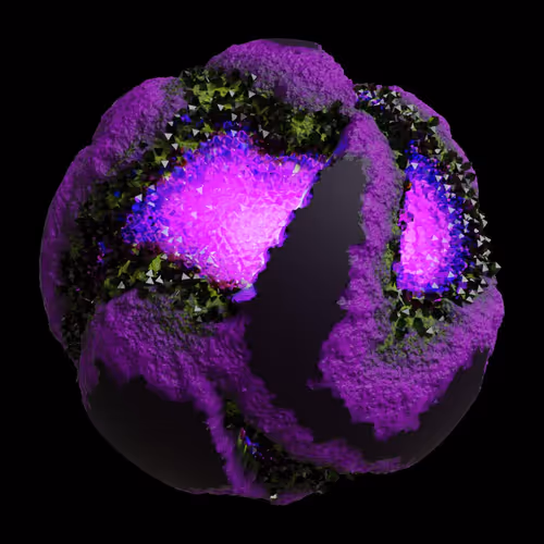 Asm Gen Ii Brains
