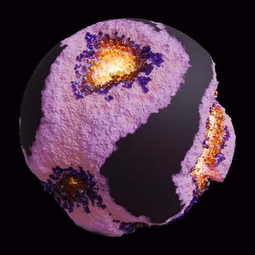 Asm Gen Ii Brains