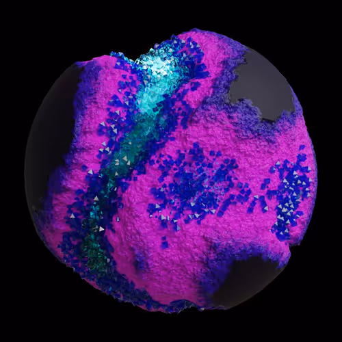 Asm Gen Ii Brains