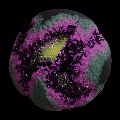 Asm Gen Ii Brains