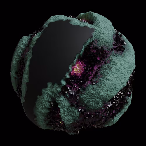 Asm Gen Ii Brains