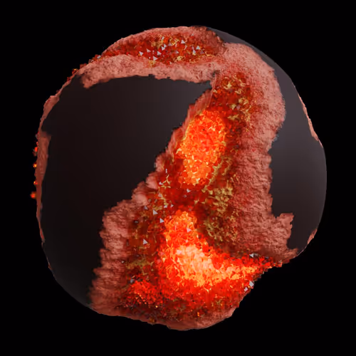 Asm Gen Ii Brains