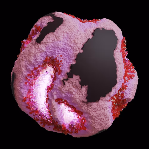 Asm Gen Ii Brains