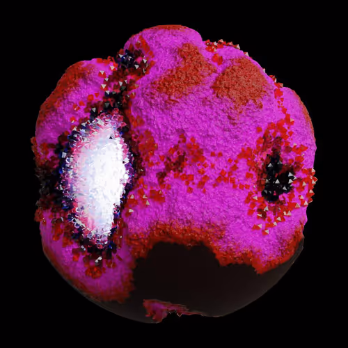 Asm Gen Ii Brains