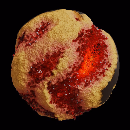 Asm Gen Ii Brains