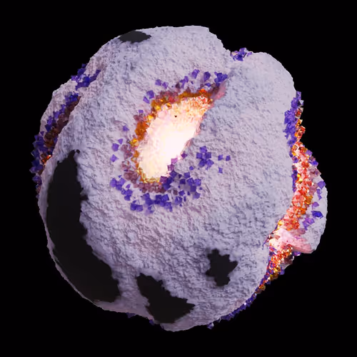 Asm Gen Ii Brains