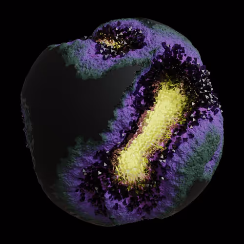 Asm Gen Ii Brains