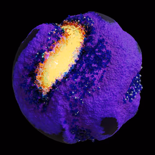 Asm Gen Ii Brains