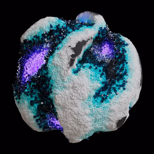 Asm Gen Ii Brains