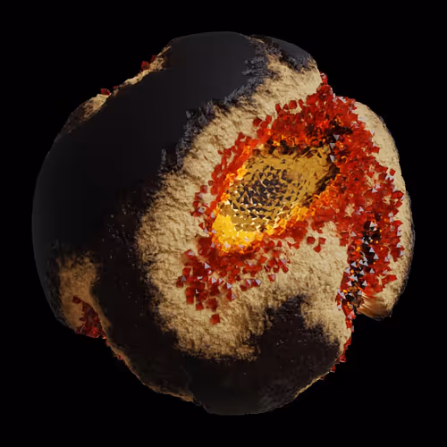 Asm Gen Ii Brains