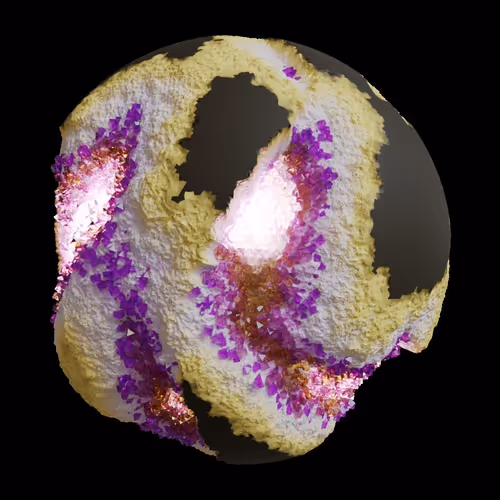 Asm Gen Ii Brains