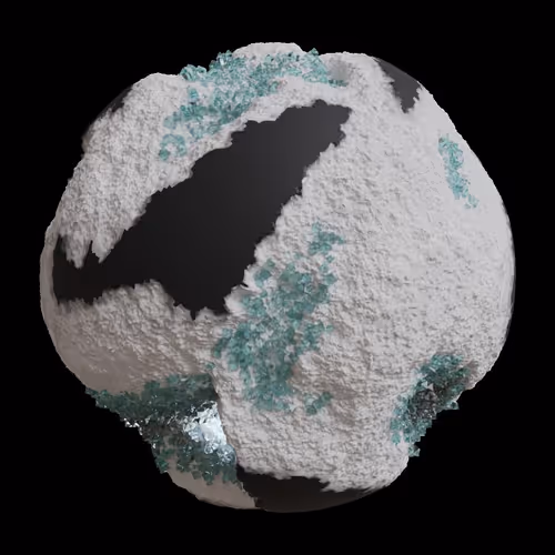 Asm Gen Ii Brains