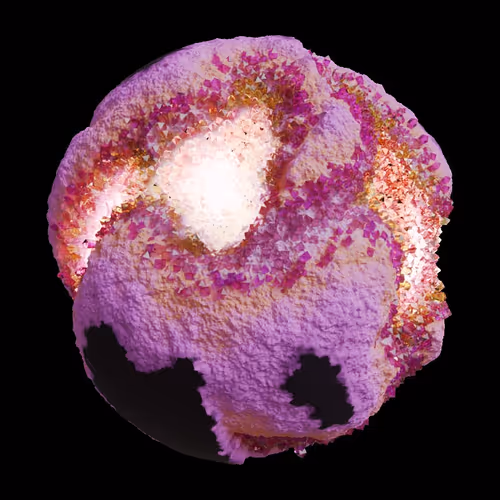 Asm Gen Ii Brains