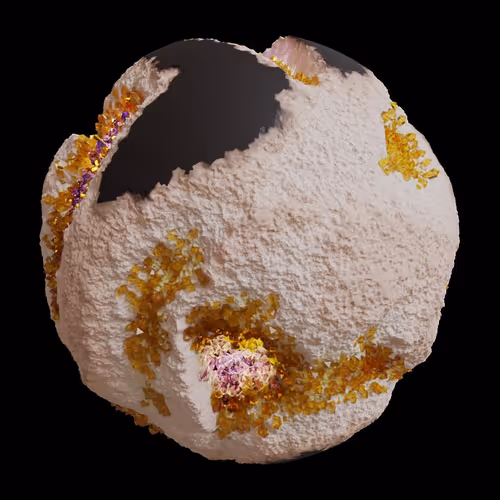Asm Gen Ii Brains