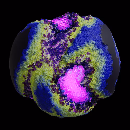 Asm Gen Ii Brains