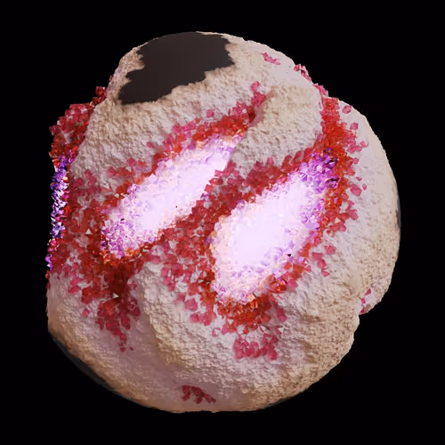 Asm Gen Ii Brains