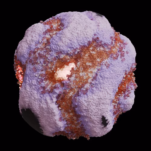Asm Gen Ii Brains