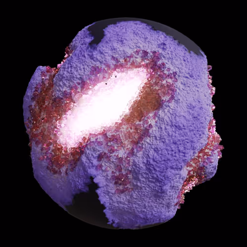 Asm Gen Ii Brains