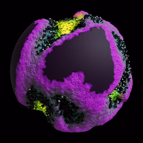 Asm Gen Ii Brains