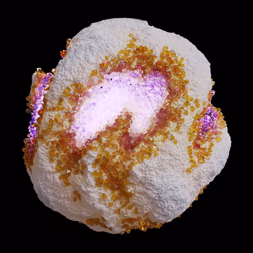 Asm Gen Ii Brains