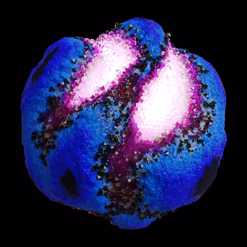 Asm Gen Ii Brains