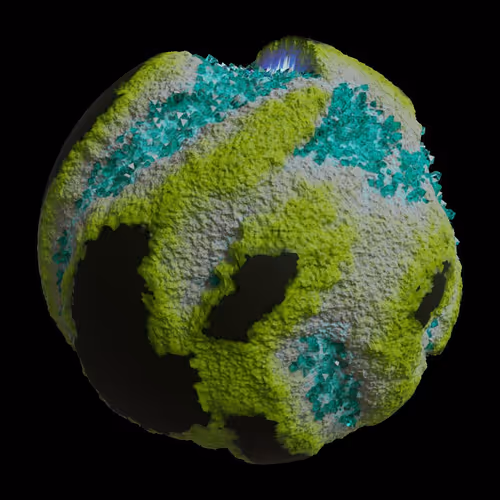 Asm Gen Ii Brains